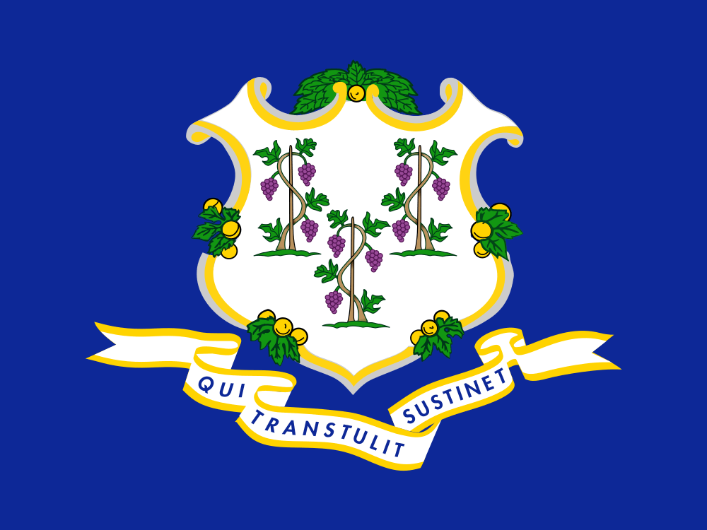 Connecticut flag – how to get married online in Connecticut guide