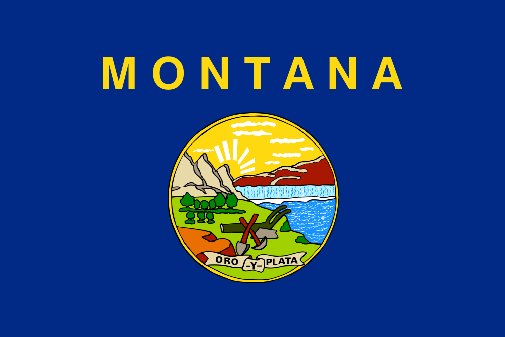 Montana flag – how to get married online in Montana guide